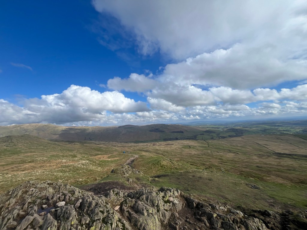 Stone fences in distance